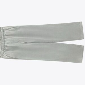 Zara Light Gray pants